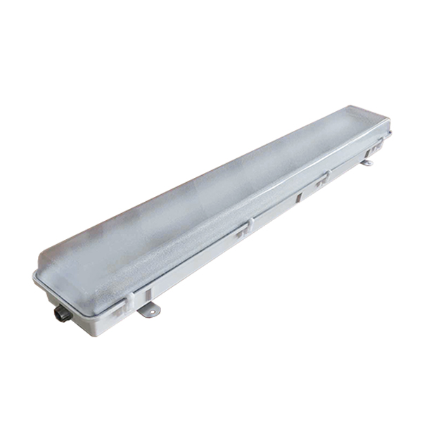 LENM  |  Non-Metallic LED Light Fixture