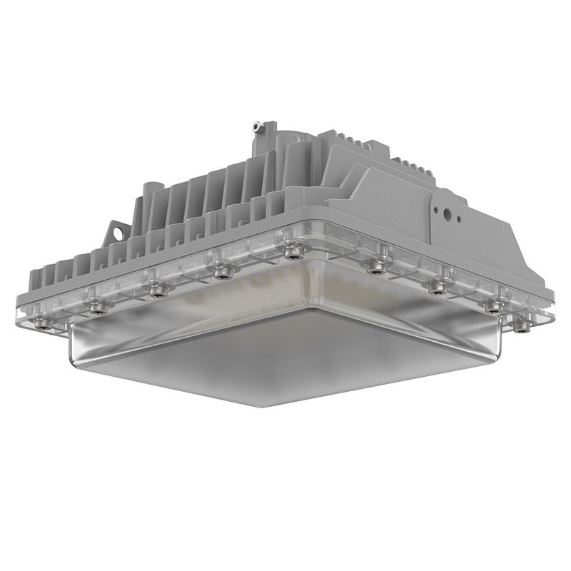 LEHF1  |  Hazardous Location LED Light Fixture